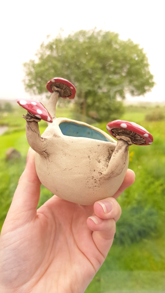 Small Mushroom Pot