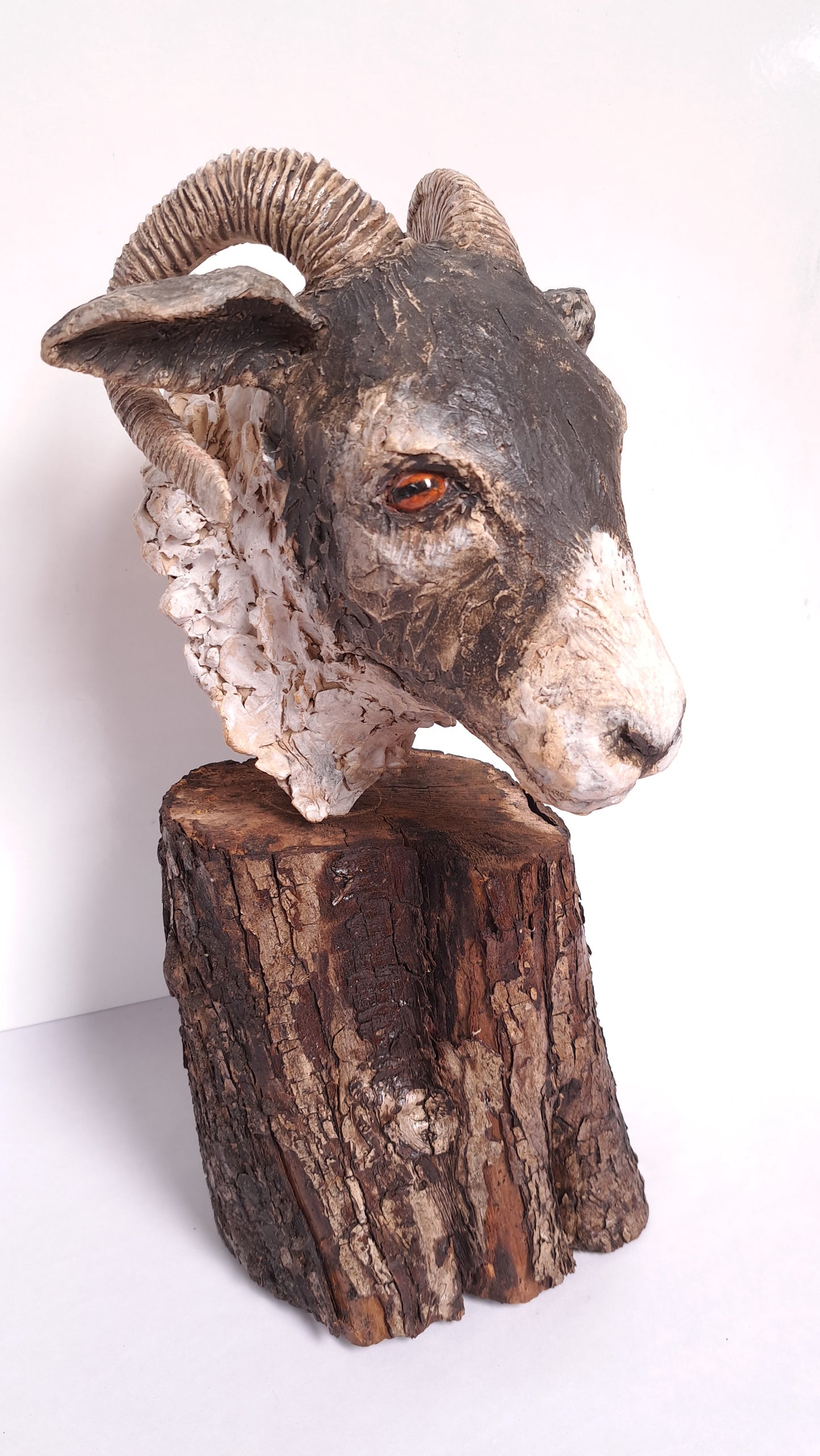 Full Day Ceramic Sheep's Head Workshop (Sun 31st August)