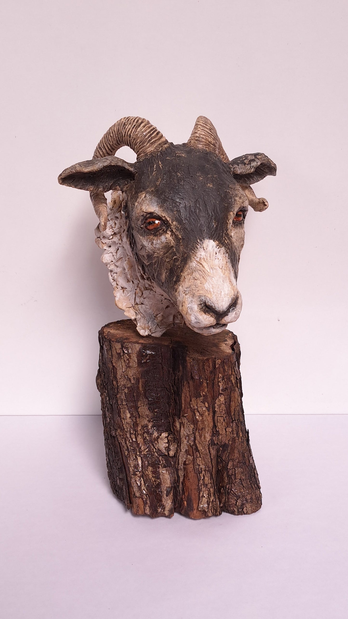 Full Day Ceramic Sheep's Head Workshop (Sun 31st August)