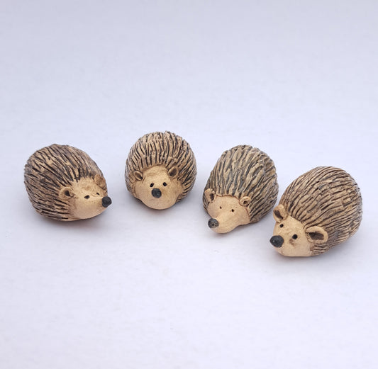 Tiny Hedgehog