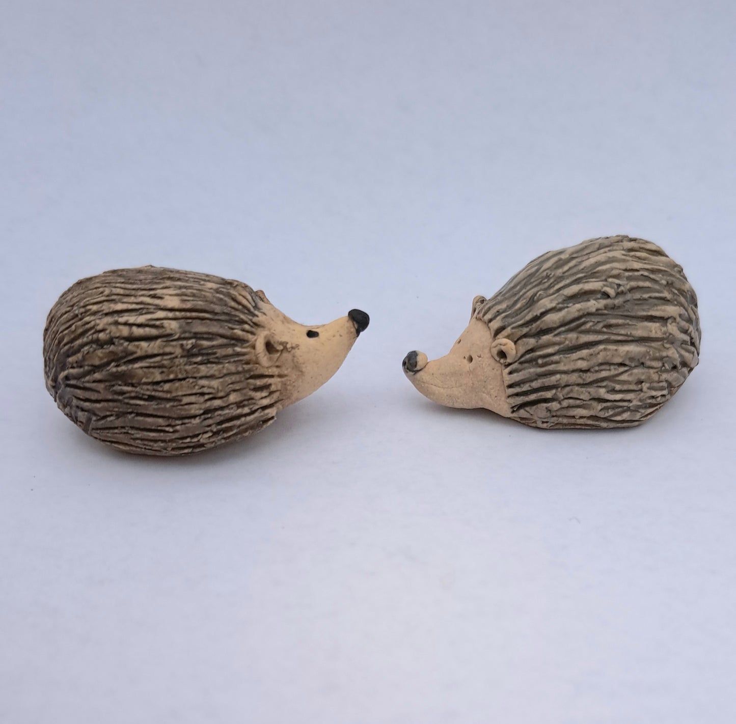 Tiny Hedgehog