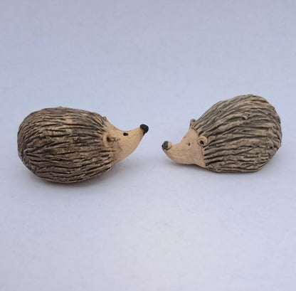 Tiny Hedgehog