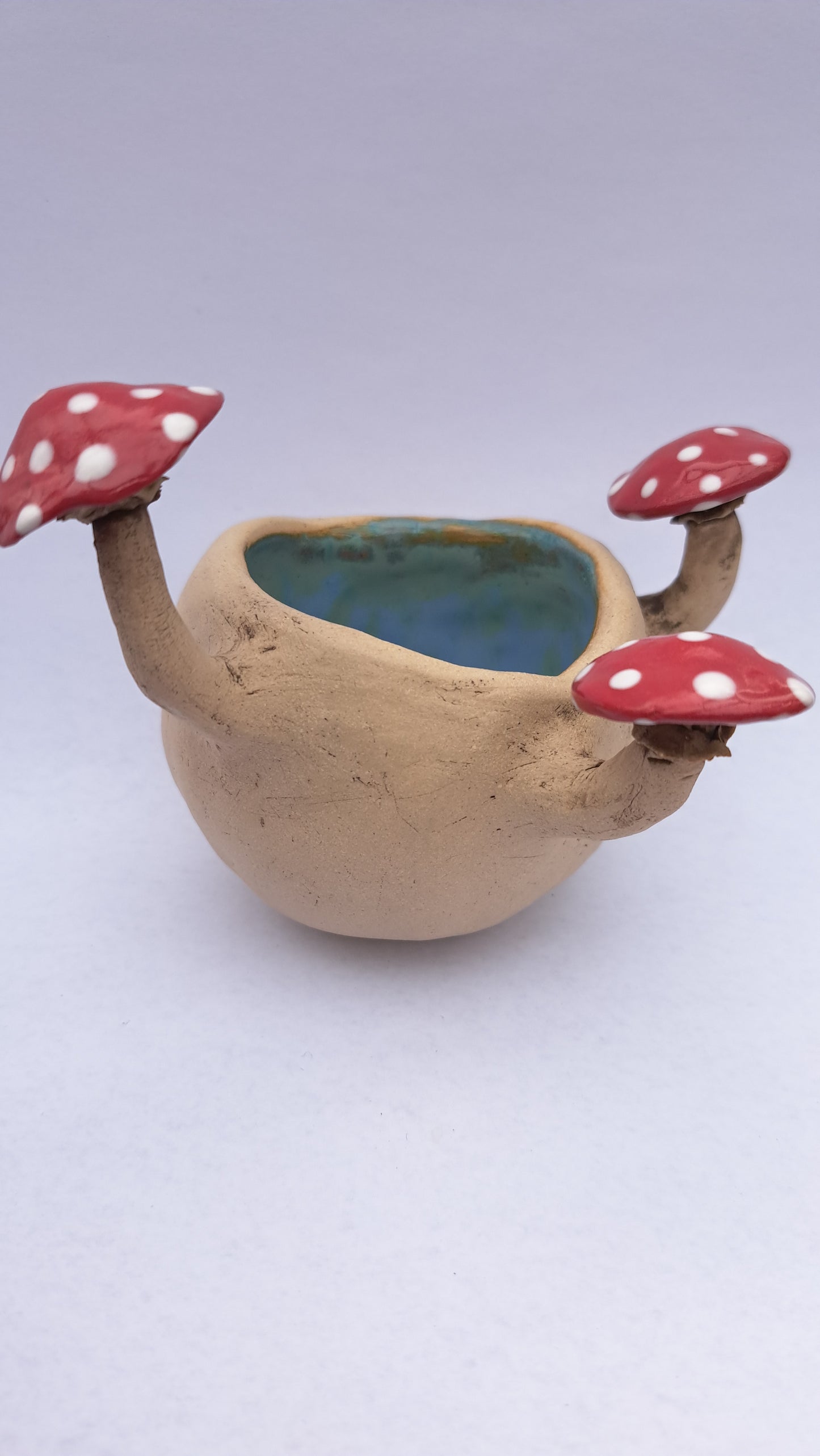 Small Mushroom Pot