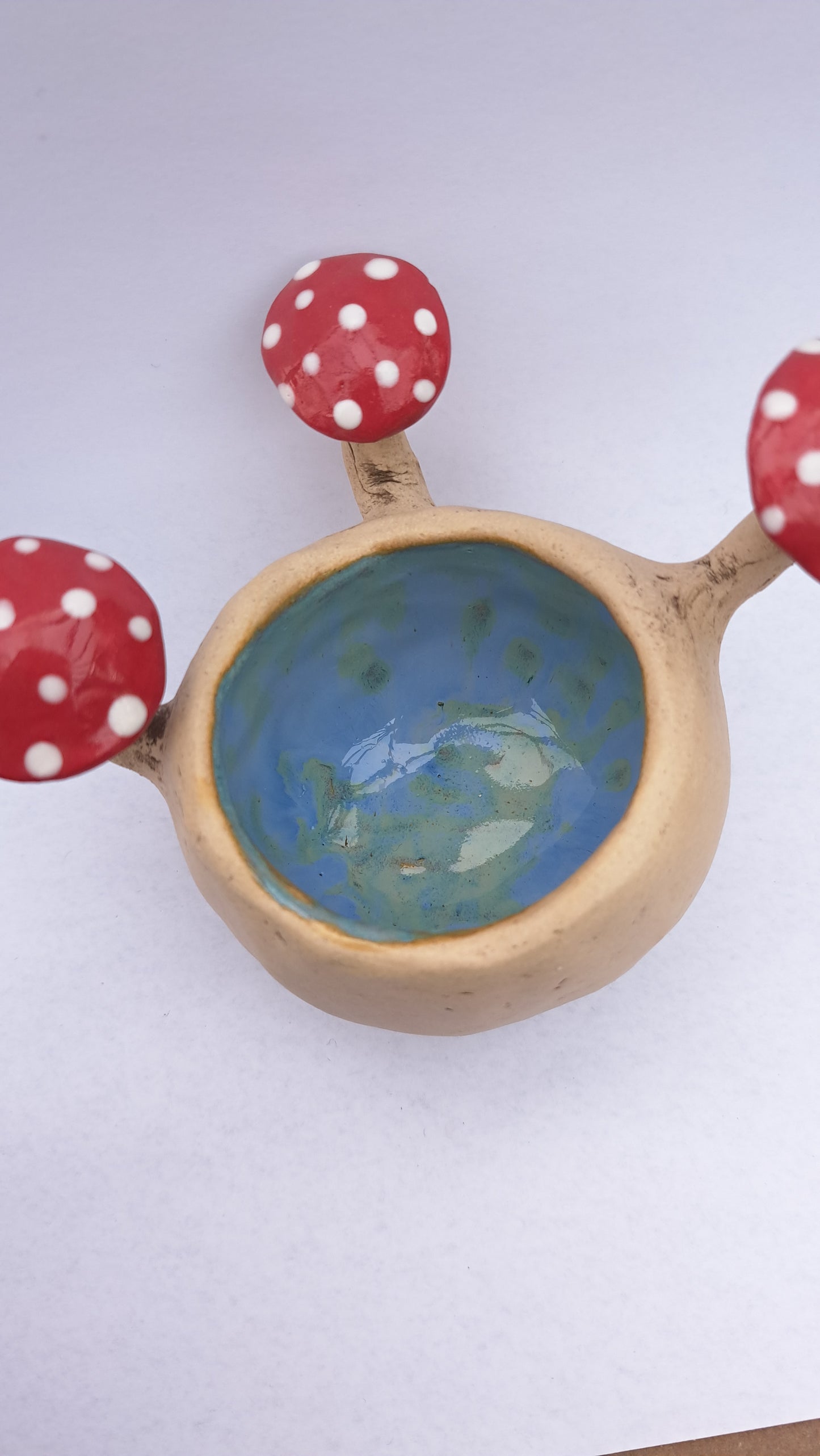 Small Mushroom Pot