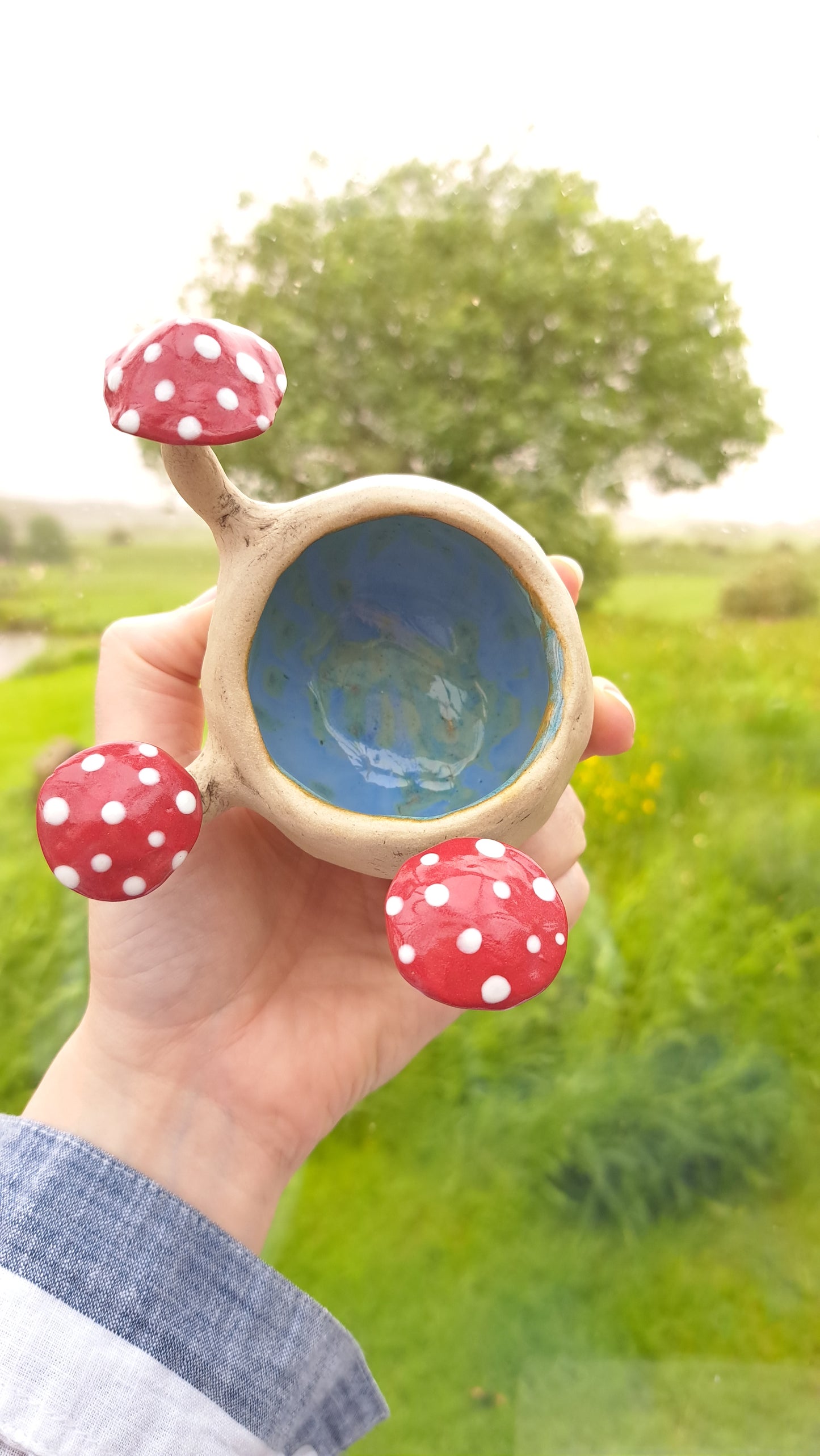 Small Mushroom Pot