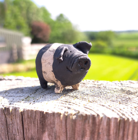 Wilbur