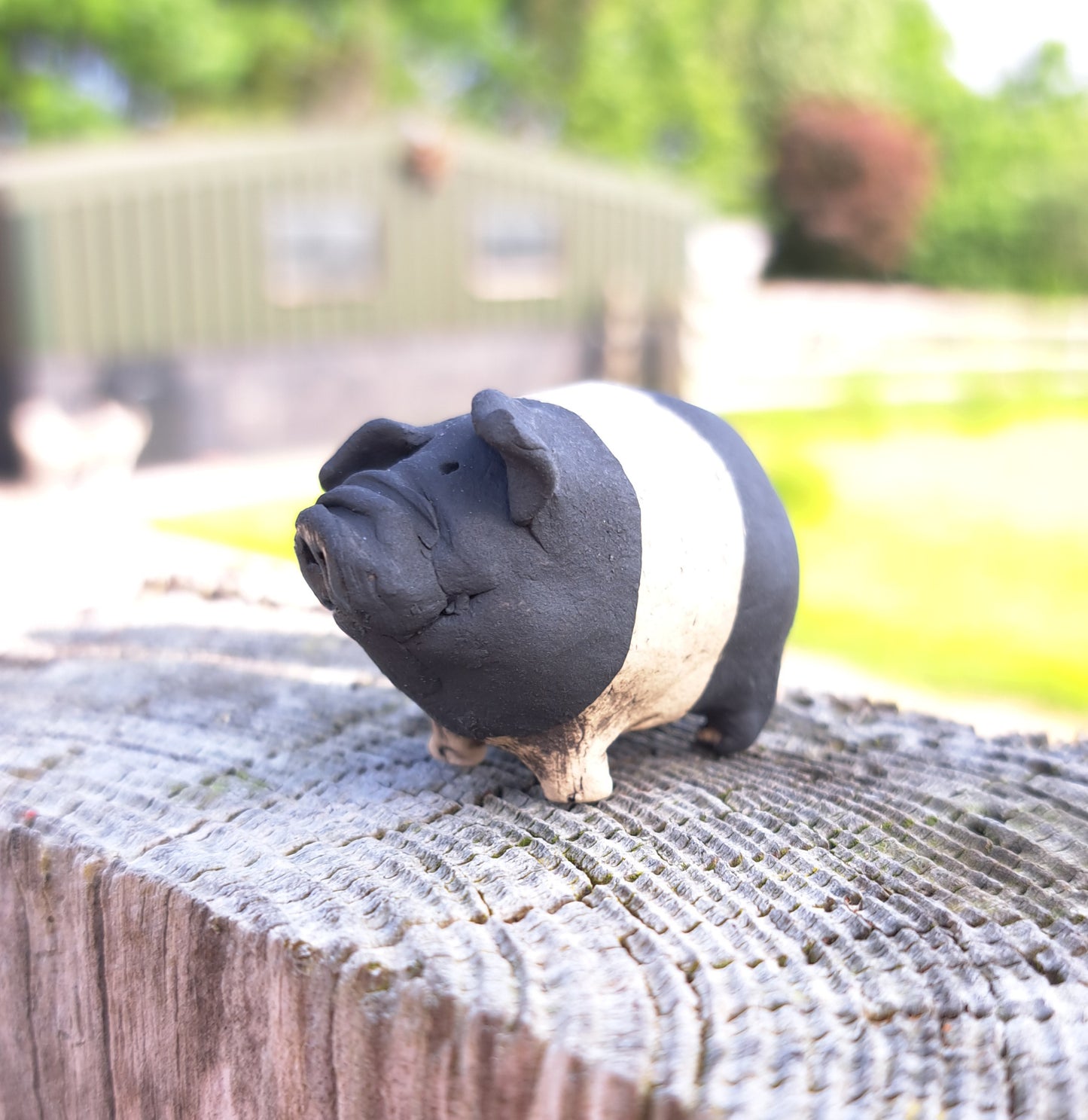 Wilbur