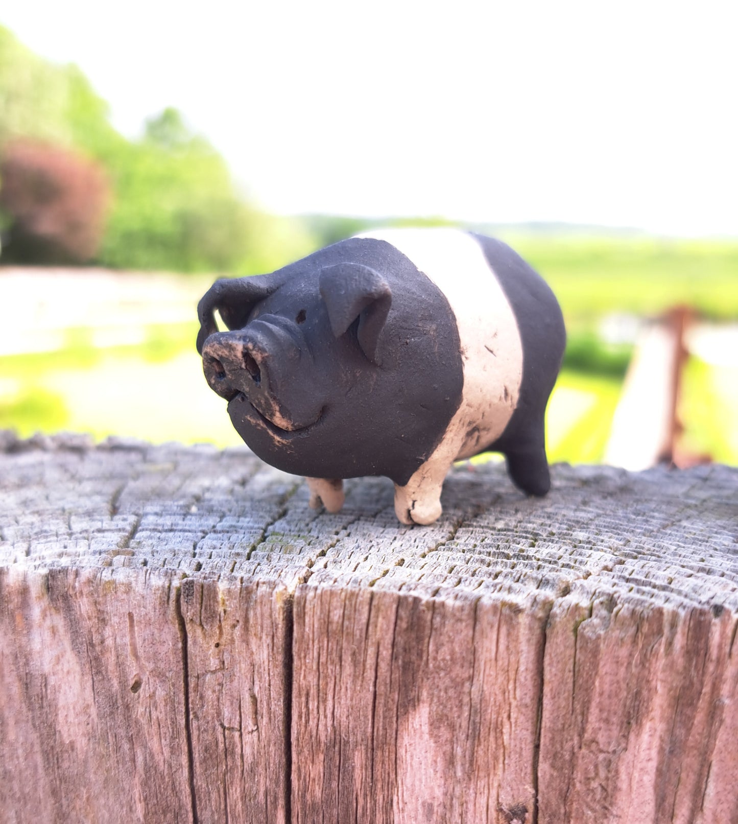 Rasher