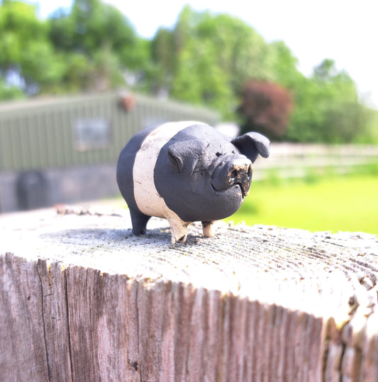 Rasher