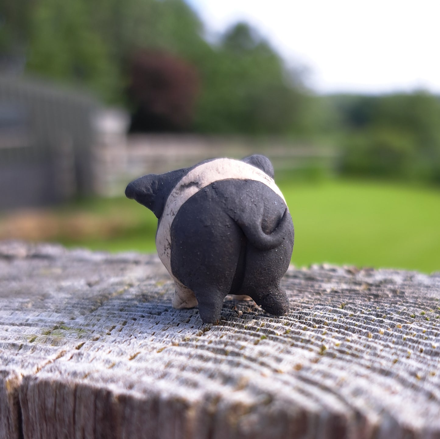 Jo Piglet