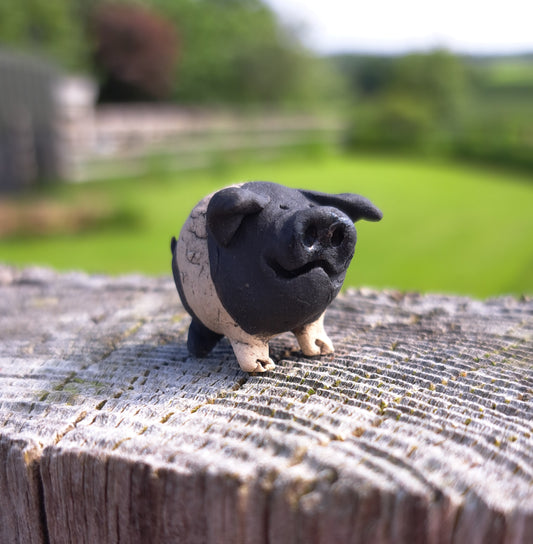 Jo Piglet