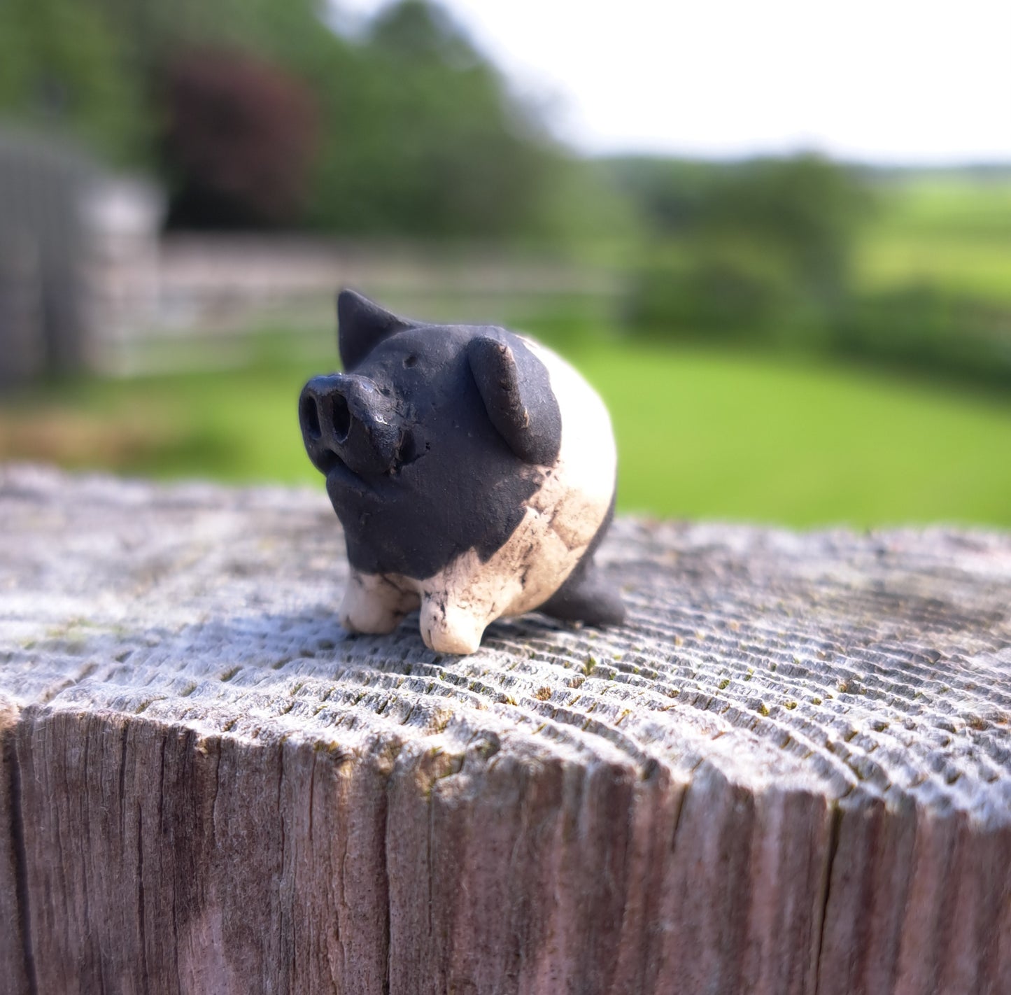 Flo Piglet