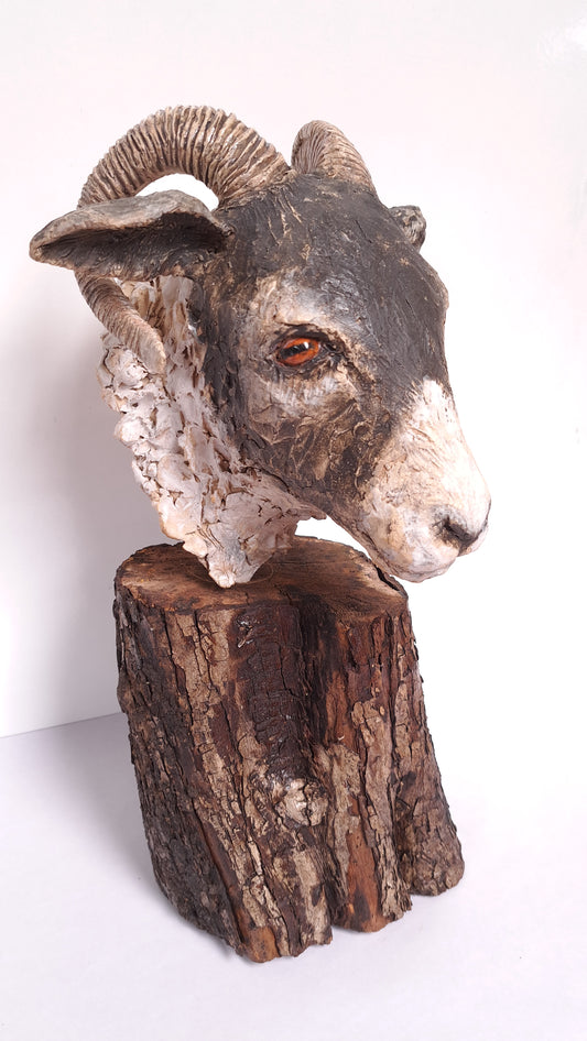 Full Day Ceramic Sheep's Head Workshop (Sun 31st August)