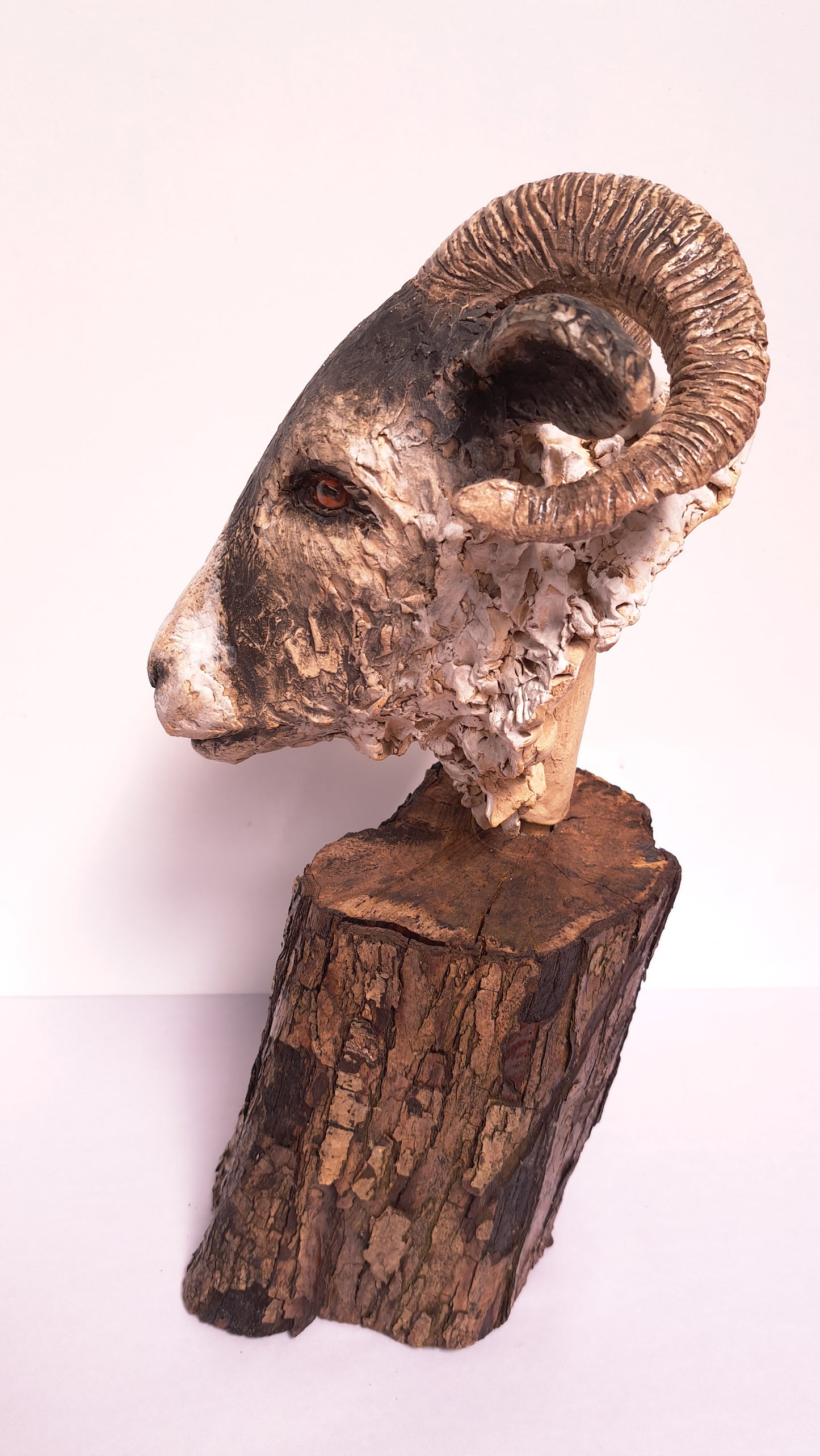 Full Day Ceramic Sheep's Head Workshop (Sun 31st August)